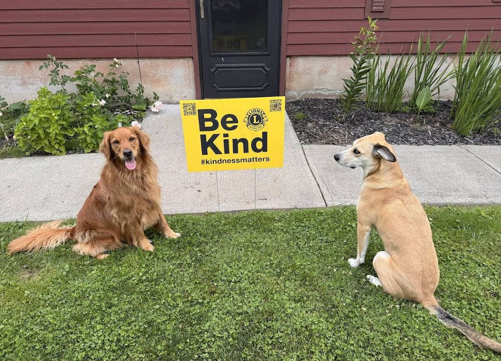 customer photos of yard sign plus