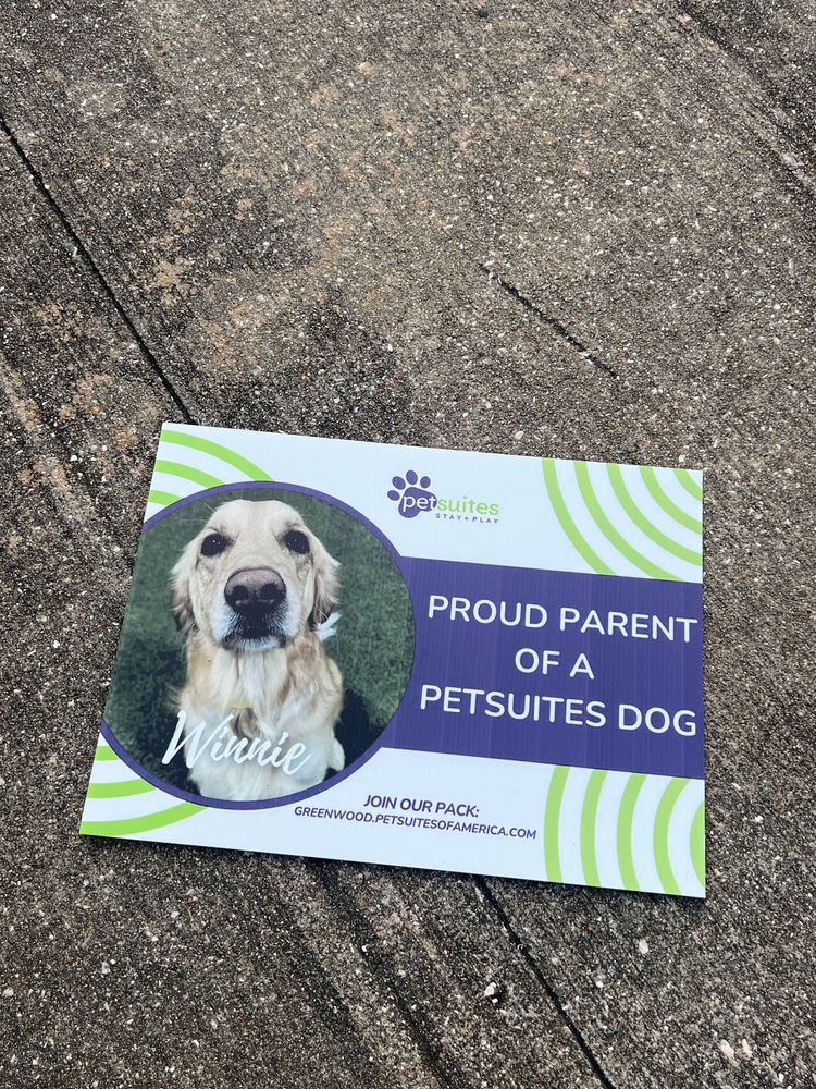 customer photos of Yard Sign Plus