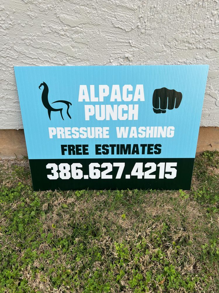 customer photos of Yard Sign Plus