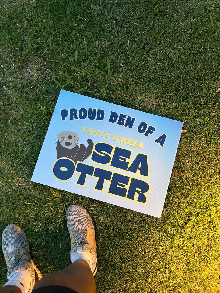 customer photos of Yard Sign Plus