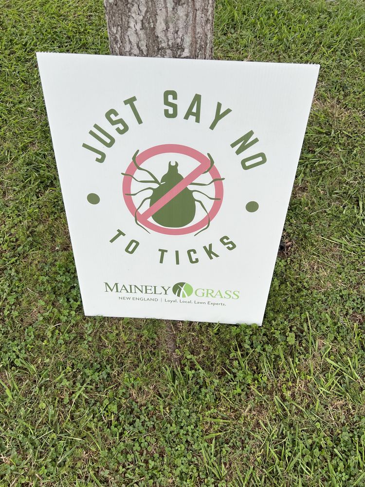 customer photos of Yard Sign Plus