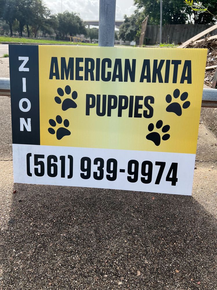 customer photos of Yard Sign Plus