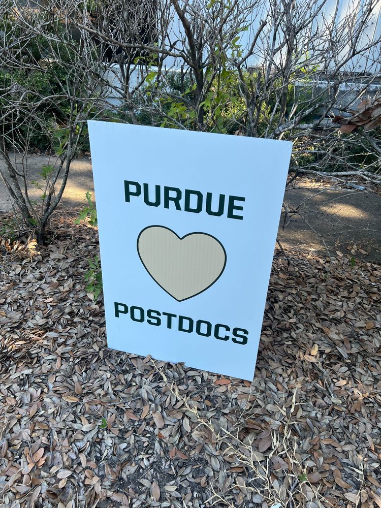 customer photos of Yard Sign Plus