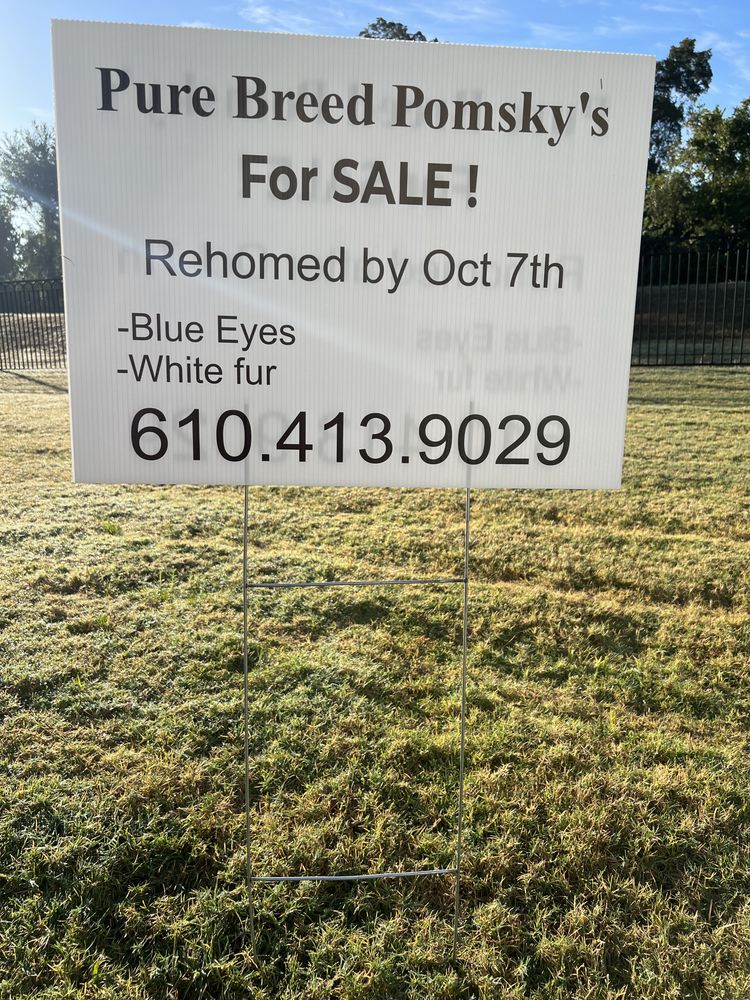 customer photos of Yard Sign Plus
