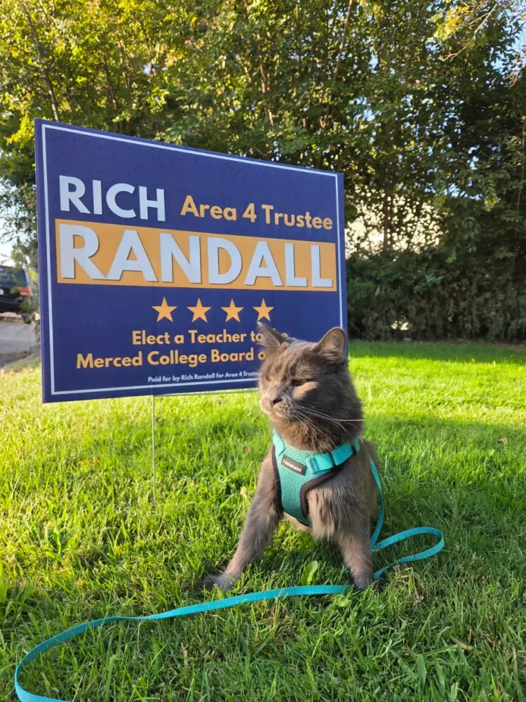 customer photos of yard sign plus