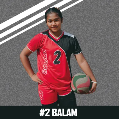 Custom Outdoor Yard Signs Multiple Sizes Volleyball Balam