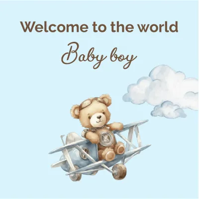 Custom Outdoor Yard Signs Multiple Sizes Welcome to the World Baby Boy