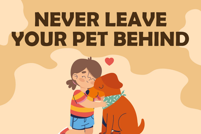 Custom Outdoor Yard Signs Multiple Sizes Never Leave Pet