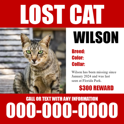 Custom Outdoor Yard Signs Multiple Sizes Lost Cat