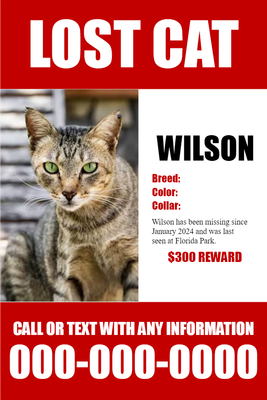 Custom Outdoor Yard Signs Multiple Sizes Lost Cat