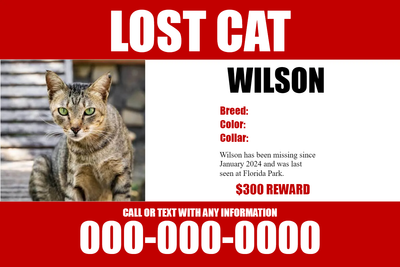 Custom Outdoor Yard Signs Multiple Sizes Lost Cat