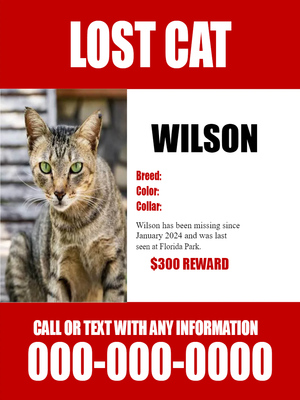 Custom Outdoor Yard Signs Multiple Sizes Lost Cat