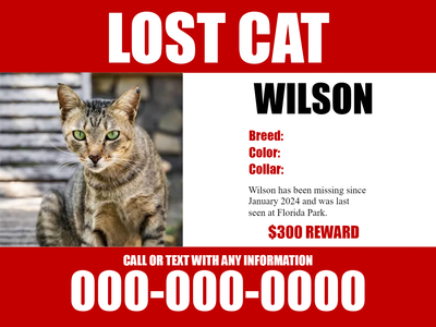 Custom Outdoor Yard Signs Multiple Sizes Lost Cat