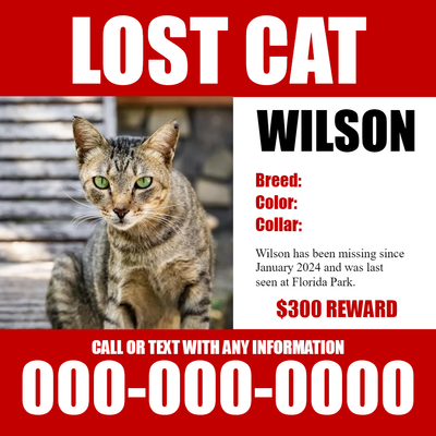Custom Outdoor Yard Signs Multiple Sizes Lost Cat