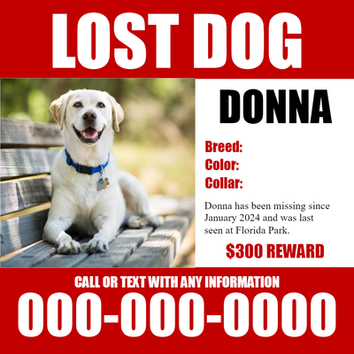 Custom Outdoor Yard Signs Multiple Sizes Lost Dog