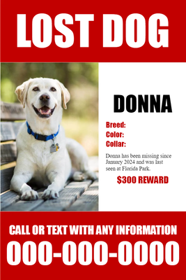 Custom Outdoor Yard Signs Multiple Sizes Lost Dog