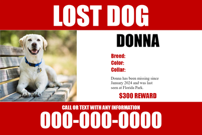 Custom Outdoor Yard Signs Multiple Sizes Lost Dog