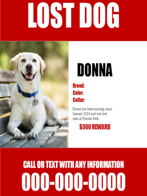 Custom Outdoor Yard Signs Multiple Sizes Lost Dog