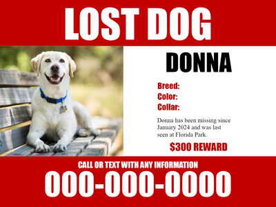 Custom Outdoor Yard Signs Multiple Sizes Lost Dog