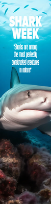 Custom Outdoor Yard Signs Multiple Sizes Shark Week