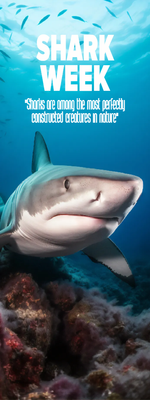Custom Outdoor Yard Signs Multiple Sizes Shark Week
