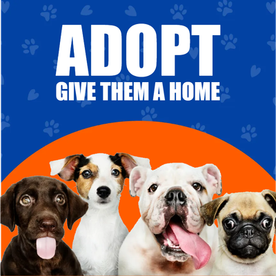 Custom Outdoor Yard Signs Multiple Sizes Give Them  Home
