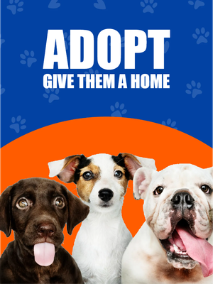 Custom Outdoor Yard Signs Multiple Sizes Give Them  Home