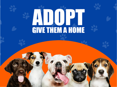 Custom Outdoor Yard Signs Multiple Sizes Give Them  Home