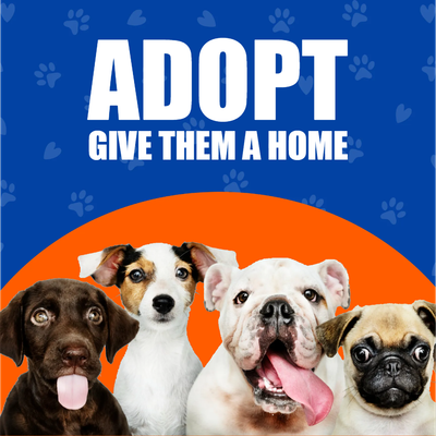 Custom Outdoor Yard Signs Multiple Sizes Give Them  Home