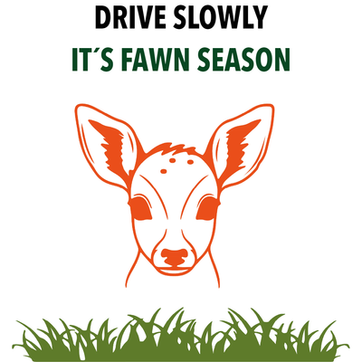 Custom Outdoor Yard Signs Multiple Sizes Fawn Season