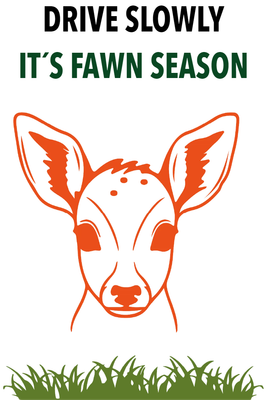 Custom Outdoor Yard Signs Multiple Sizes Fawn Season