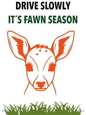 Custom Outdoor Yard Signs Multiple Sizes Fawn Season