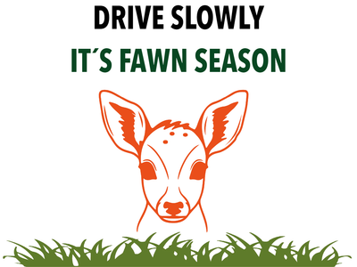 Custom Outdoor Yard Signs Multiple Sizes Fawn Season