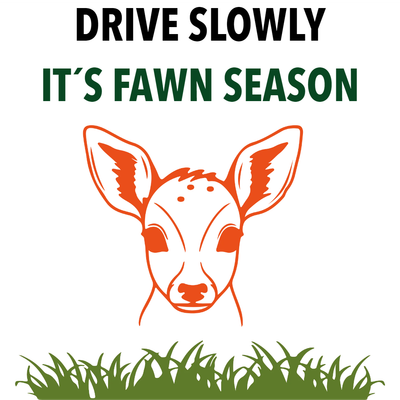 Custom Outdoor Yard Signs Multiple Sizes Fawn Season