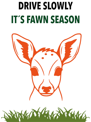 Custom Outdoor Yard Signs Multiple Sizes Fawn Season