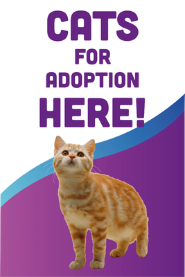 Custom Outdoor Yard Signs Multiple Sizes Cats For Adoption