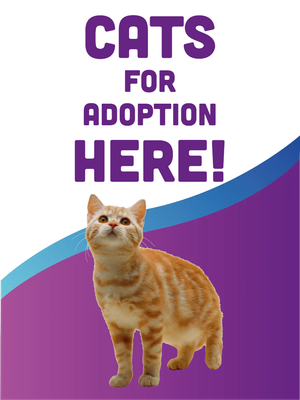 Custom Outdoor Yard Signs Multiple Sizes Cats For Adoption