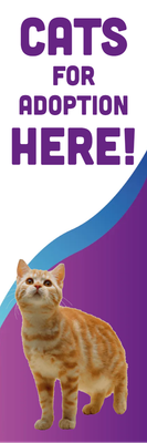Custom Outdoor Yard Signs Multiple Sizes Cats For Adoption