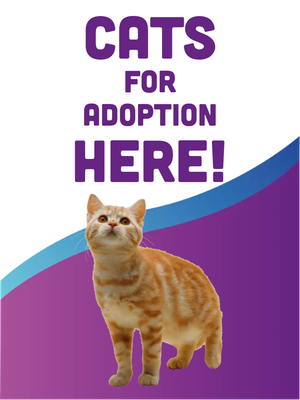 Custom Outdoor Yard Signs Multiple Sizes Cats For Adoption