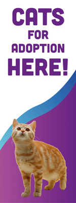 Custom Outdoor Yard Signs Multiple Sizes Cats For Adoption