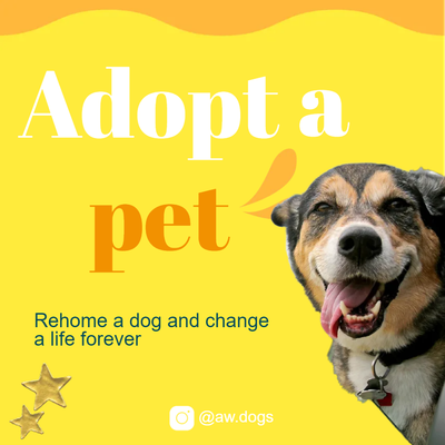 Custom Outdoor Yard Signs Multiple Sizes Adopt A Pet