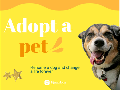 Custom Outdoor Yard Signs Multiple Sizes Adopt A Pet