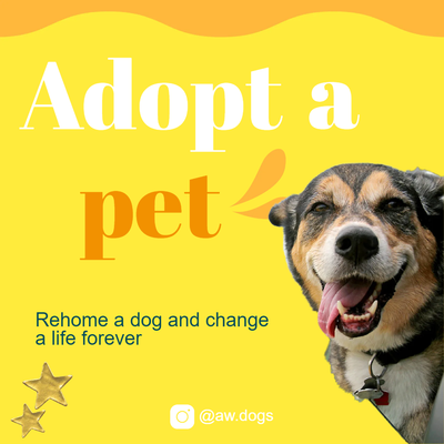 Custom Outdoor Yard Signs Multiple Sizes Adopt A Pet