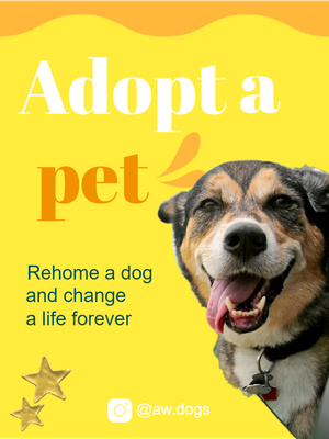 Custom Outdoor Yard Signs Multiple Sizes Adopt A Pet