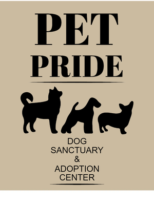 Custom Outdoor Yard Signs Multiple Sizes Pet Pride
