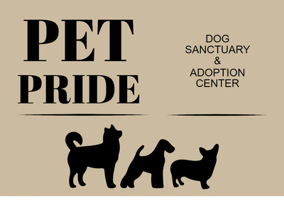 Custom Outdoor Yard Signs Multiple Sizes Pet Pride
