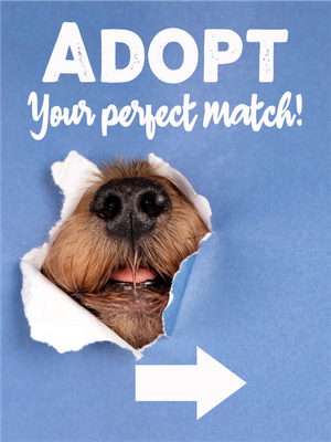 Custom Outdoor Yard Signs Multiple Sizes Your Perfect Match