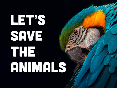 Custom Outdoor Yard Signs Multiple Sizes Save The Animals