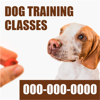 Custom Outdoor Yard Signs Multiple Sizes Dog Training Classes