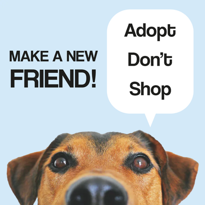Custom Outdoor Yard Signs Multiple Sizes Make New Friend